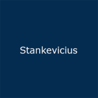 Stankevicius MGM User Experience & Design